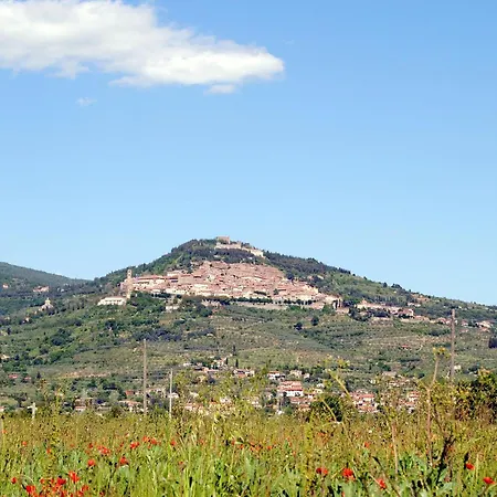 2 Bedroom Amazing In